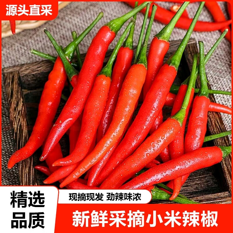 薏品甄鲜精选品质新鲜采摘青小米辣 现摘现发 劲辣味浓 红色小米椒3斤装