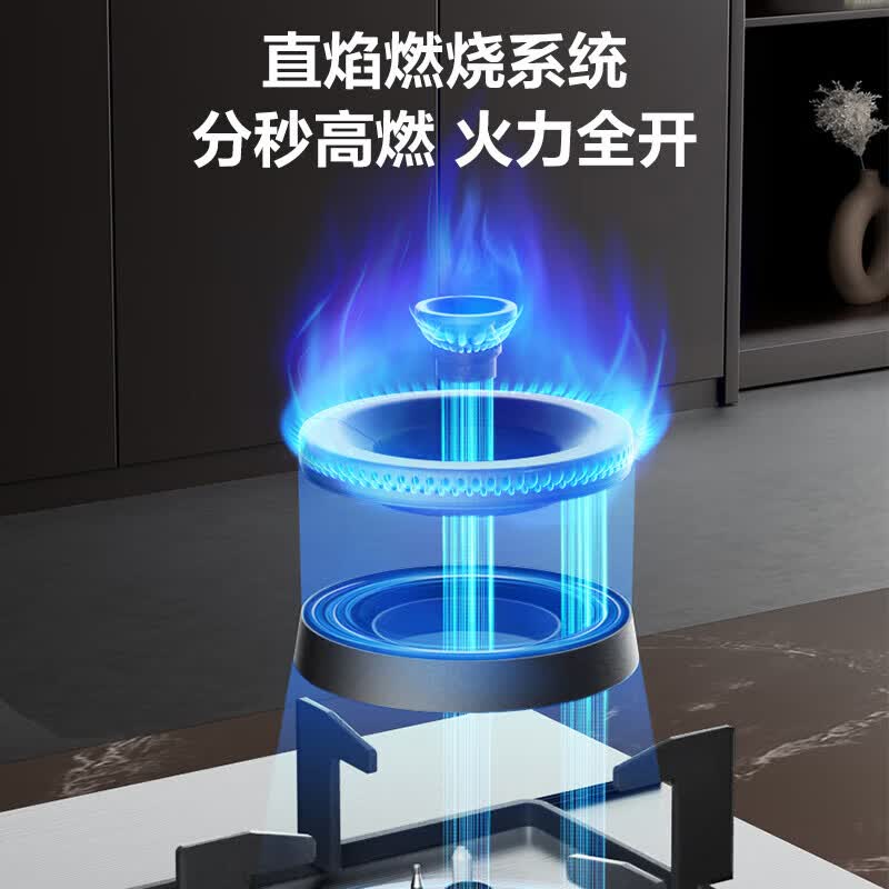 苏泊尔燃气灶具家用天然气灶不锈钢液化气灶双灶台式嵌入式煤气5.0KW猛火灶 双灶台式 NS21S 罐装液化气(20Y)