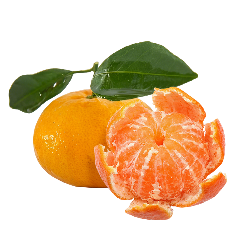 京鲜生 江西新余蜜桔 单果40-50mm 净重4.5斤【精选家庭装】源头直发