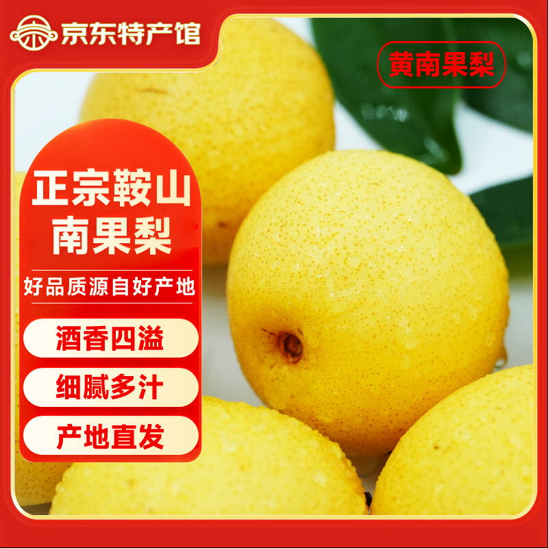 澄州呈礼辽宁鞍山南果梨东北特产香甜软糯香水梨子 产地直发 京东快递 家庭装 黄南果梨5斤（小果）