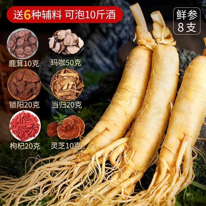 长白山人参泡酒料人参或野山参+鹿茸+锁阳+当归+枸杞+灵芝+玛咖不替代药材 保鲜人参150g礼盒+6味泡酒材料