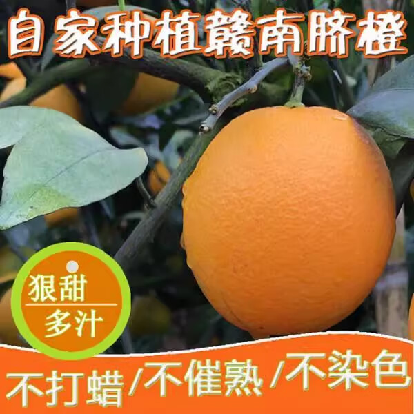 庾丰江西赣南脐橙新鲜橙子孕妇水果整箱年货送礼团购纽荷尔榨汁手剥橙 10斤装（净果9斤） 单果200g+