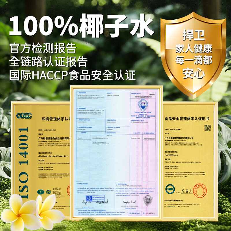 RA.BURI泰国100%天然椰子水泰国电解质果汁饮料断饱腹感0添加年货礼盒 【100%椰子水】246ml*8瓶