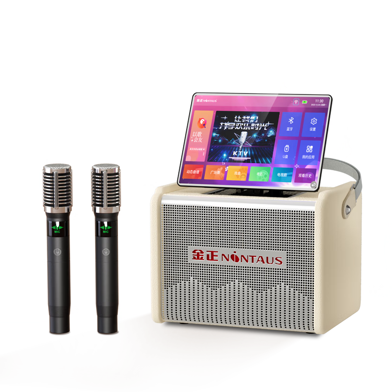 金正k歌麦克风音响一体机家庭ktv唱歌全套设备卡拉ok蓝牙音响家庭k歌一体机带点歌系统话筒功放机A10