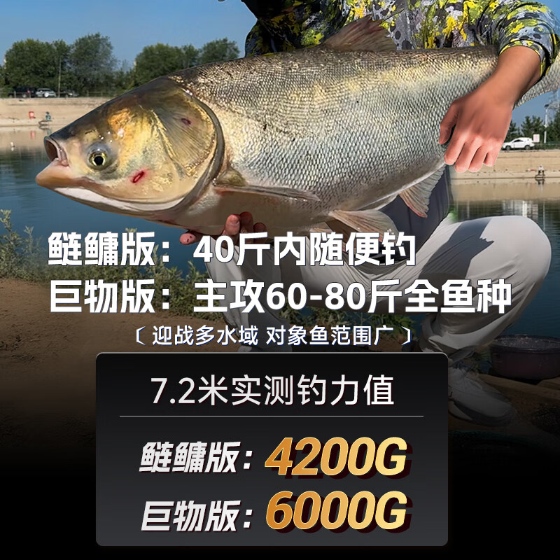 伽玛拿铁战鱼竿手竿综合大物鲢鳙手杆轻量碳素台钓竿小锥度巨物钓鱼竿 7.2m 【极轻鲢鳙-大物6H19调】