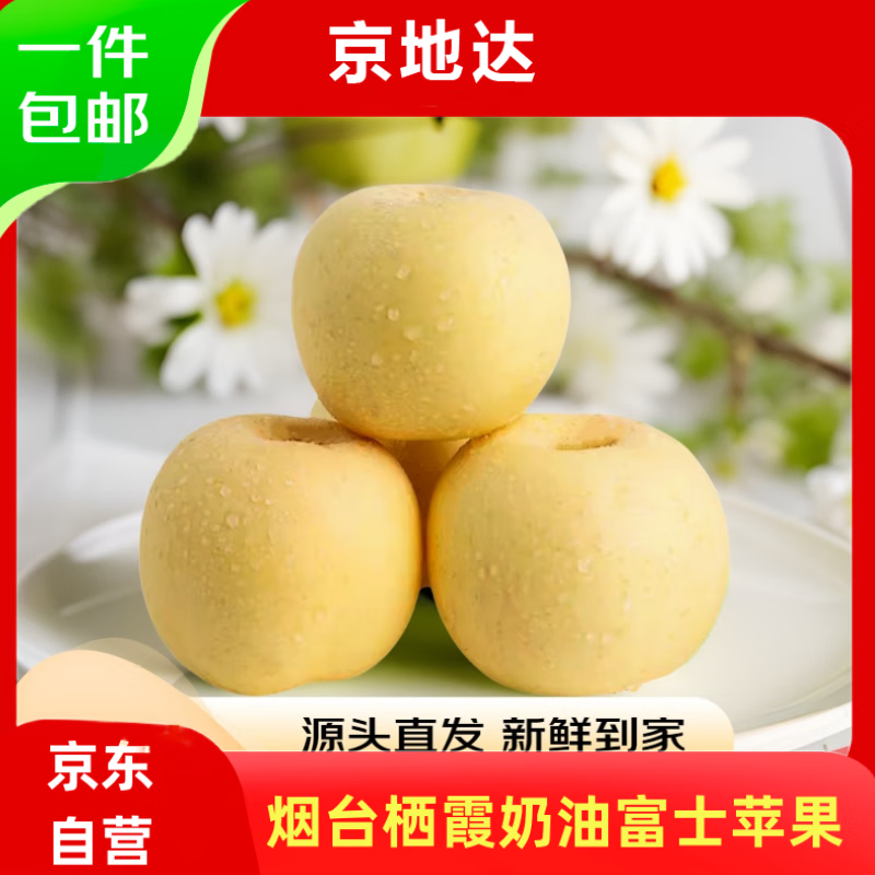 京地达山东烟台栖霞奶油富士苹果 净重4.5斤单果约230g烟台苹果源头直发