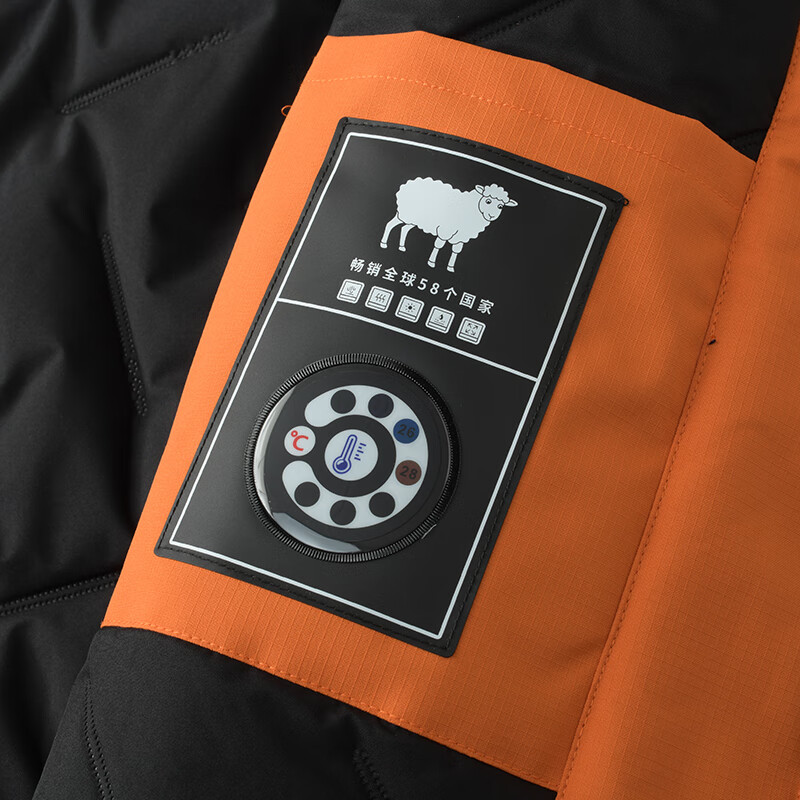 DI品牌棉服男2025秋冬立领宽松保暖外套新款户外时尚情侣休闲百搭 皇家蓝 5XL