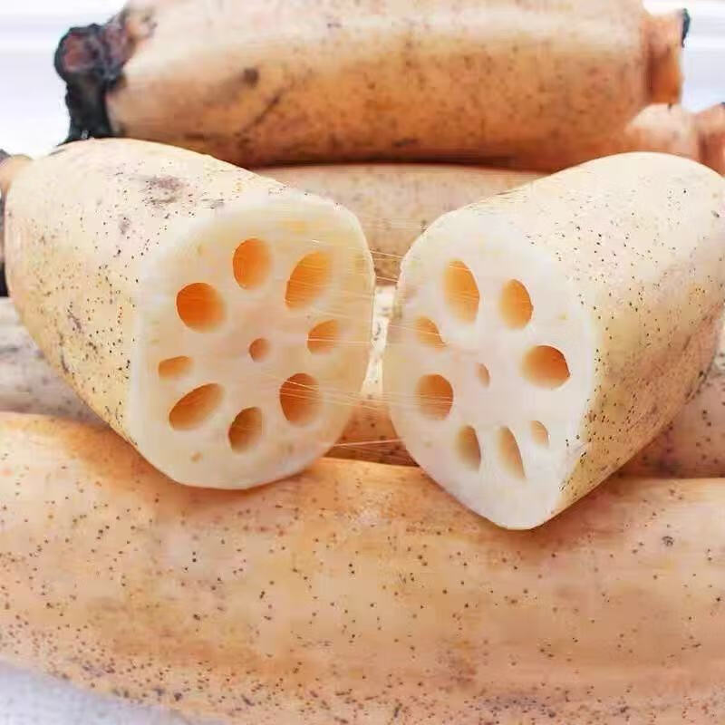 湖北洪湖粉藕/新鲜莲藕/带泥九孔藕/糯米藕/煲汤粉糯 5斤精选礼盒