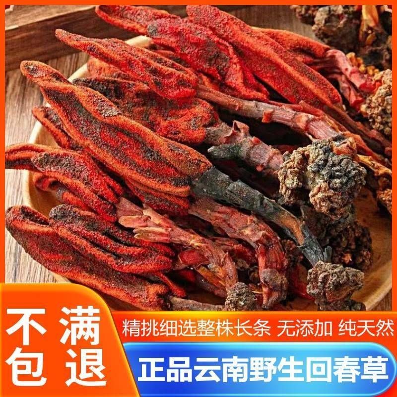 仲景云南深山野生回春草中药材顶天柱不老草男性滋补泡茶水酒 无硫 精选特级野生回春草 500g*1袋