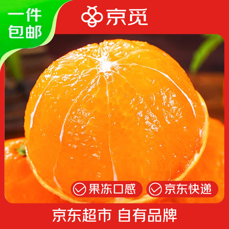 京觅浙江象山红美人柑橘 净重1.3斤 单果150g+ 生鲜水果 源头直发包邮