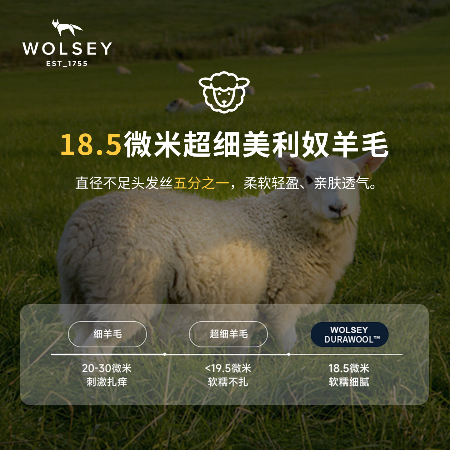 WOLSEY【18.5微米美利奴羊毛】天丝混纺长袖T恤高弹透气打底衫 藏青色【男款】 L 【男款175女款170】