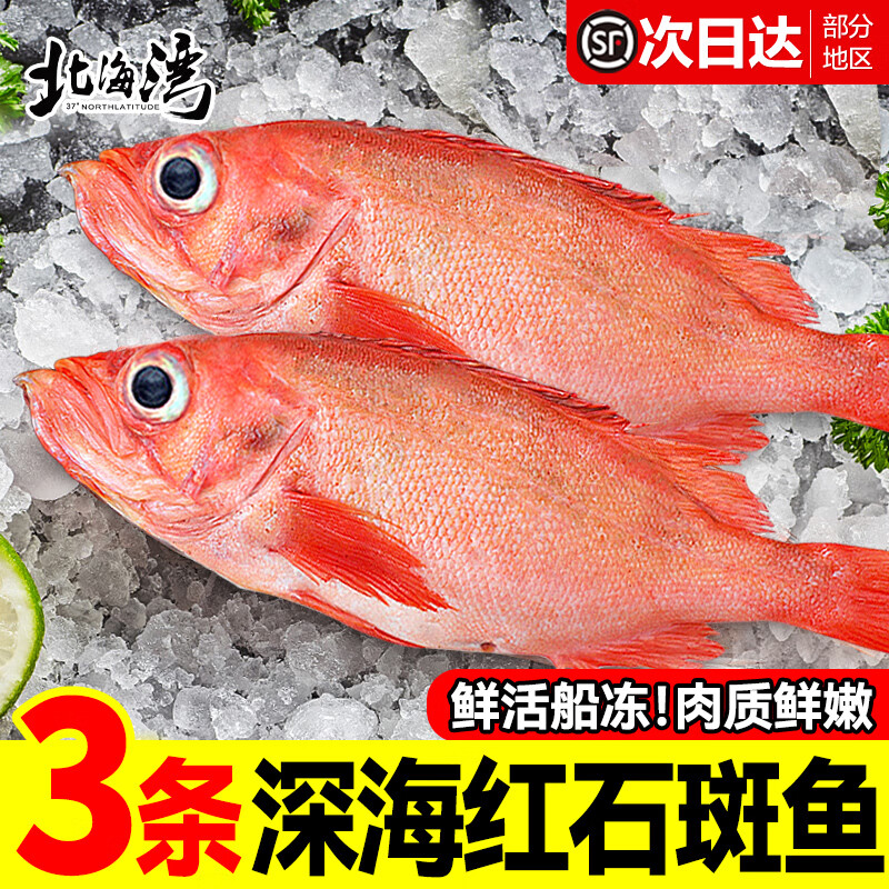 北海湾 红石斑鱼 新鲜大眼鱼深海捕捞红鱼富贵鱼冷冻生鲜鱼类 海鲜
