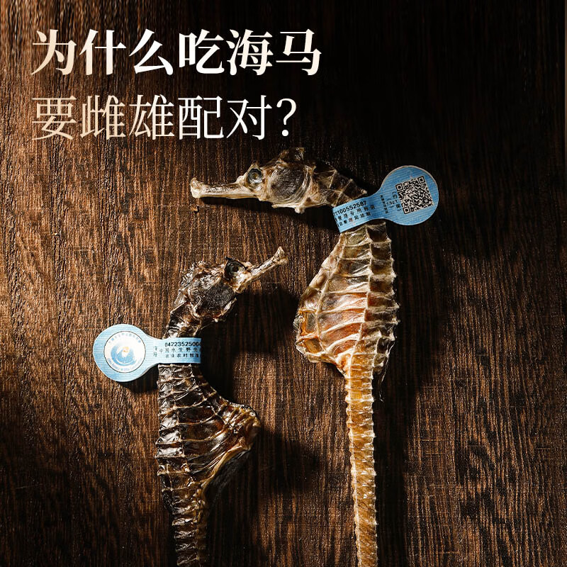 福东海 海马5克一公一母海马干煲汤泡酒药材料男性滋补搭补肾壮阳持久