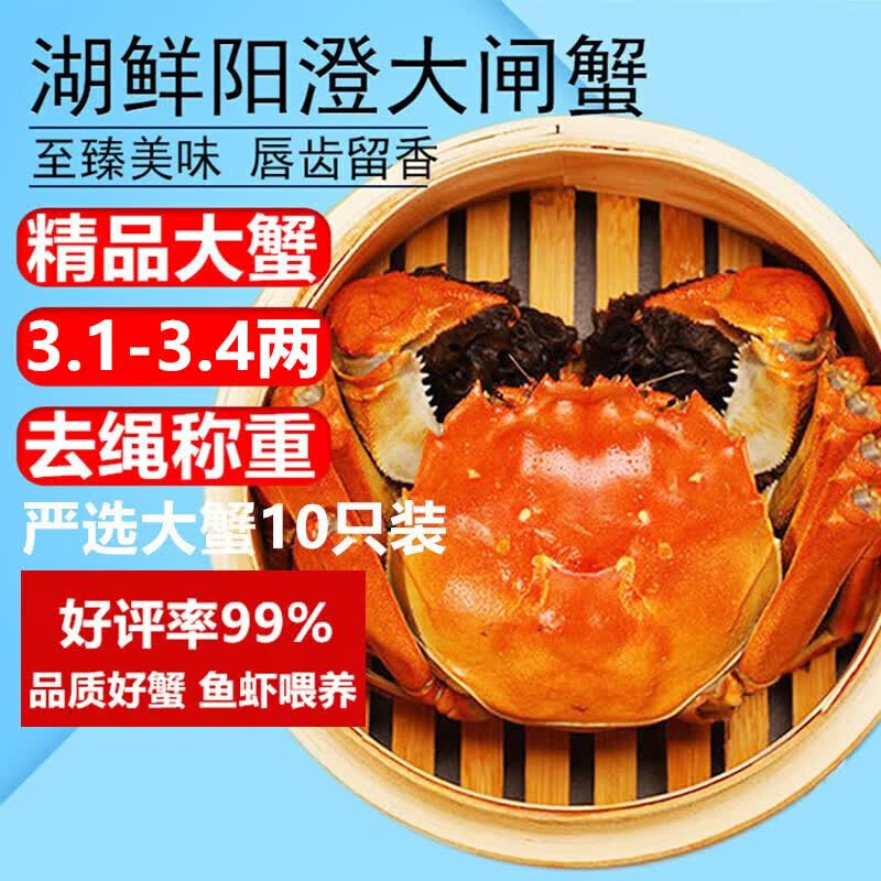 【活蟹】湖鲜阳澄 大闸蟹 去绳足重 3.1-3.4两 10只 鲜活六月黄现货超大螃蟹海鲜礼盒装