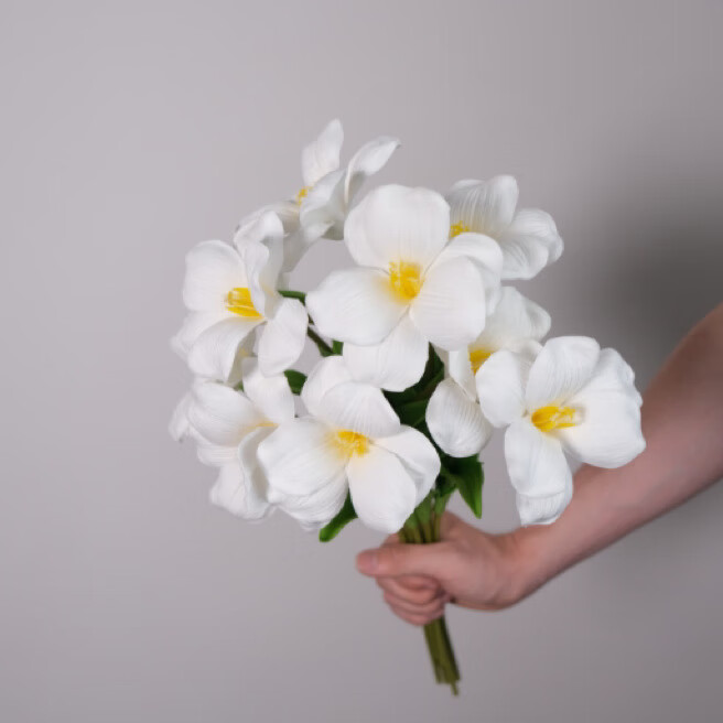 ���񳽸�Ʒ��PU�ָв�������������滨�����Ҿ�װ�λ����û�����Ӱ���� ��ɫ1֦���ػݰ桿