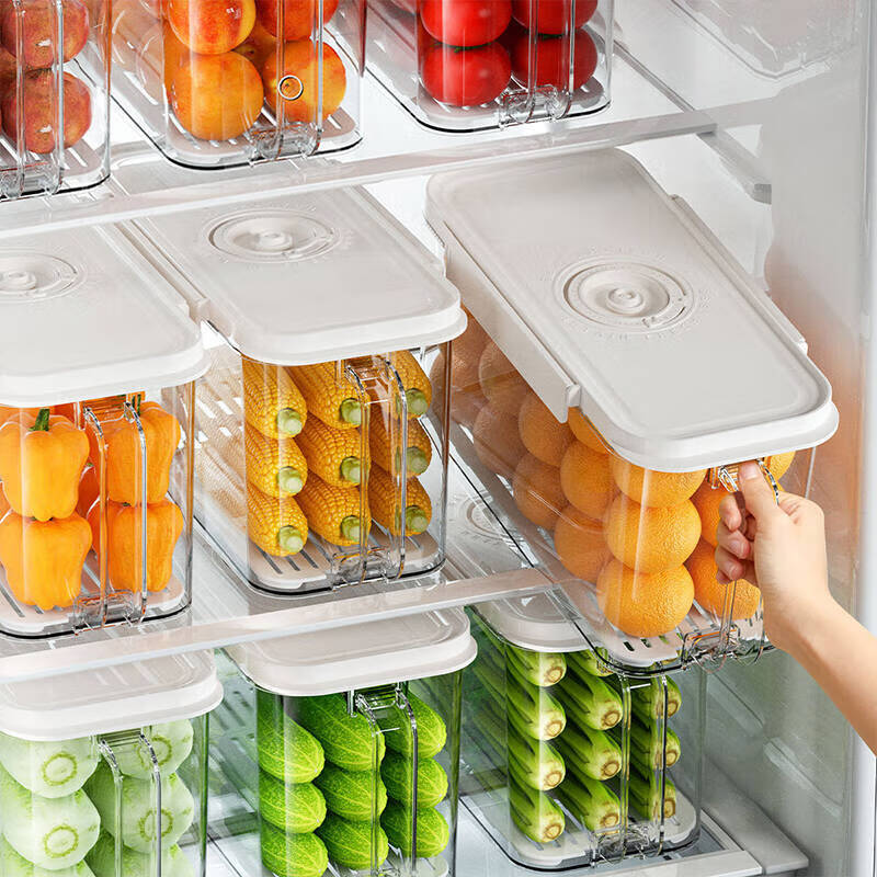 艾仕可真空保鲜盒密封食品级水果蔬菜冷冻分装专用整理冰箱食物收纳盒子 4.5L*1个装+电动抽真空泵