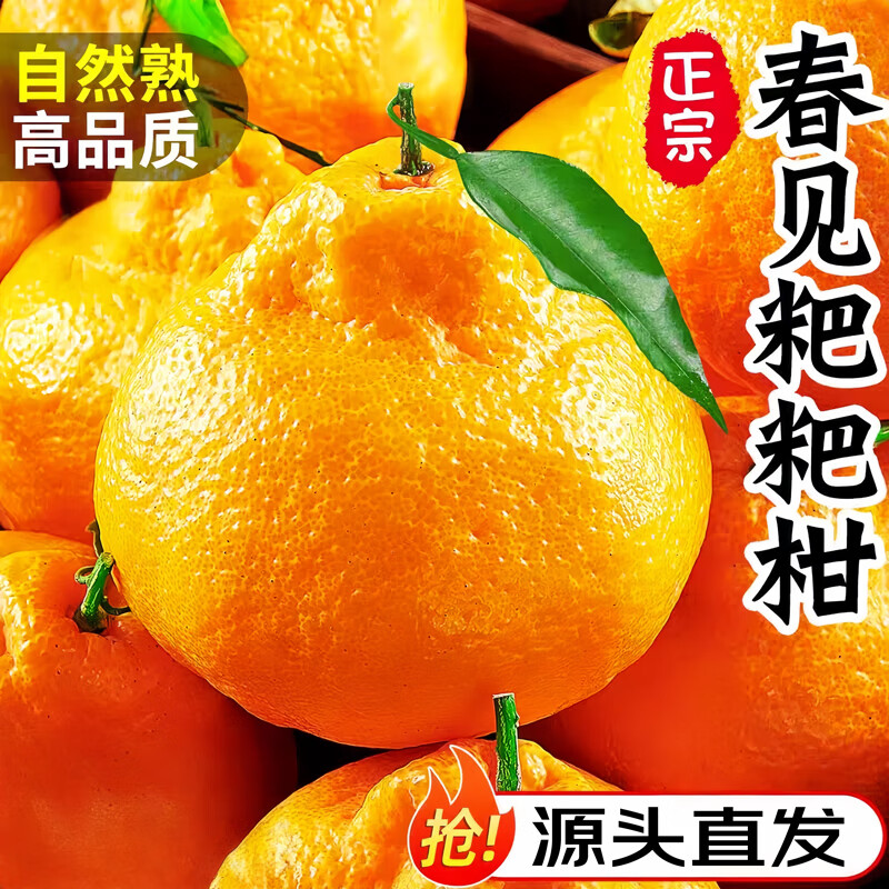 春福乐 四川春见耙耙柑【源头直发】新鲜柑橘粑粑柑丑八怪柑橘孕妇水果 5斤臻选果【单果60MM+】净重4.5斤