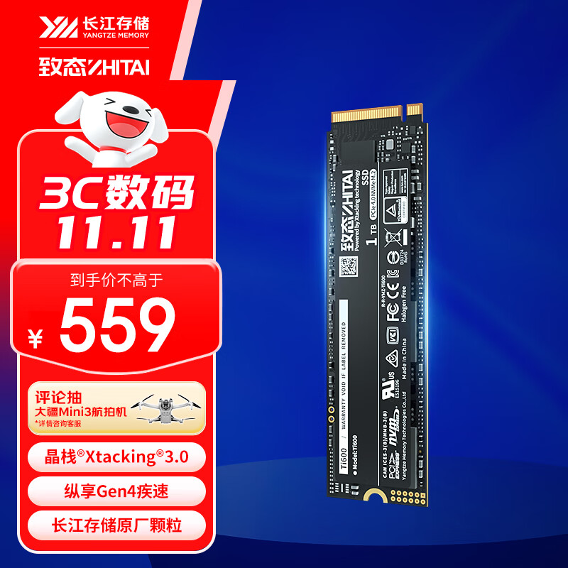 致态（ZhiTai）长江存储 1TB SSD固态硬盘 NVMe M.2接口 Ti600系列 (PCIe 4.0 产品)