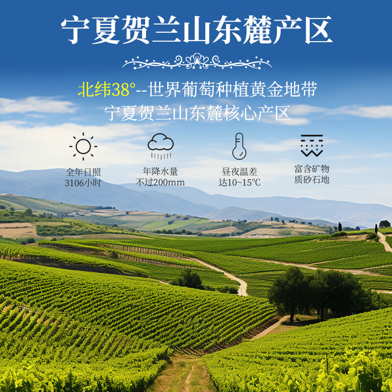 帝月红酒星辉13.5度750ml干红赤霞珠贺兰山东麓礼盒家宴年货过节送礼 星辉 750ml*2瓶