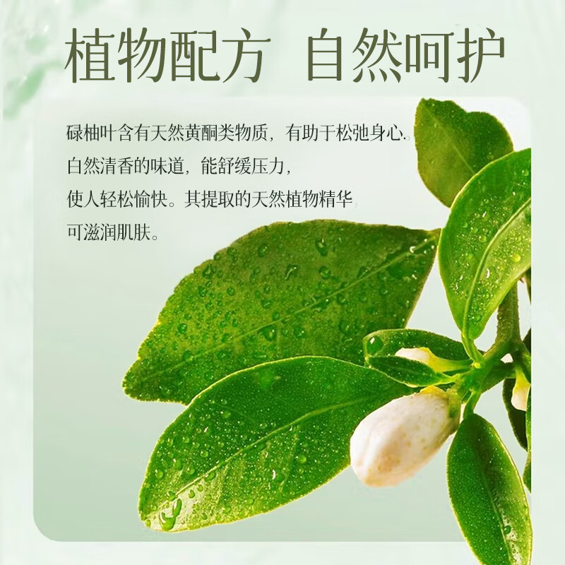 芭奢碌柚叶好运清爽净澈沐浴露深层清洁控油保湿水润舒适柚子叶沐浴乳 碌柚叶沐浴露500g-2瓶