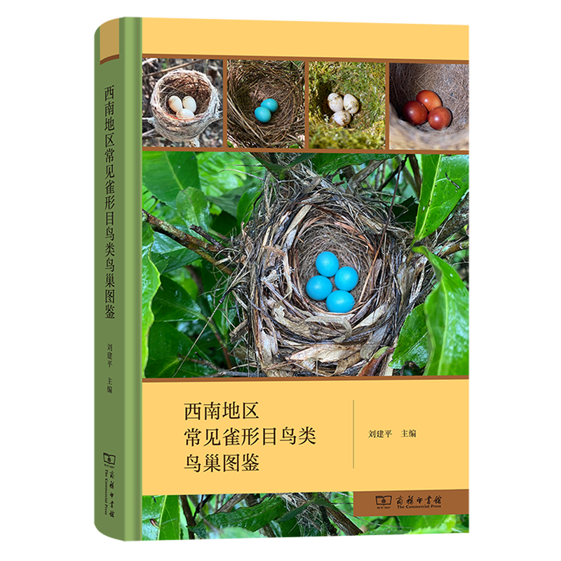 新华正版  西南地区常见雀形目鸟类鸟巢图鉴  生物科学