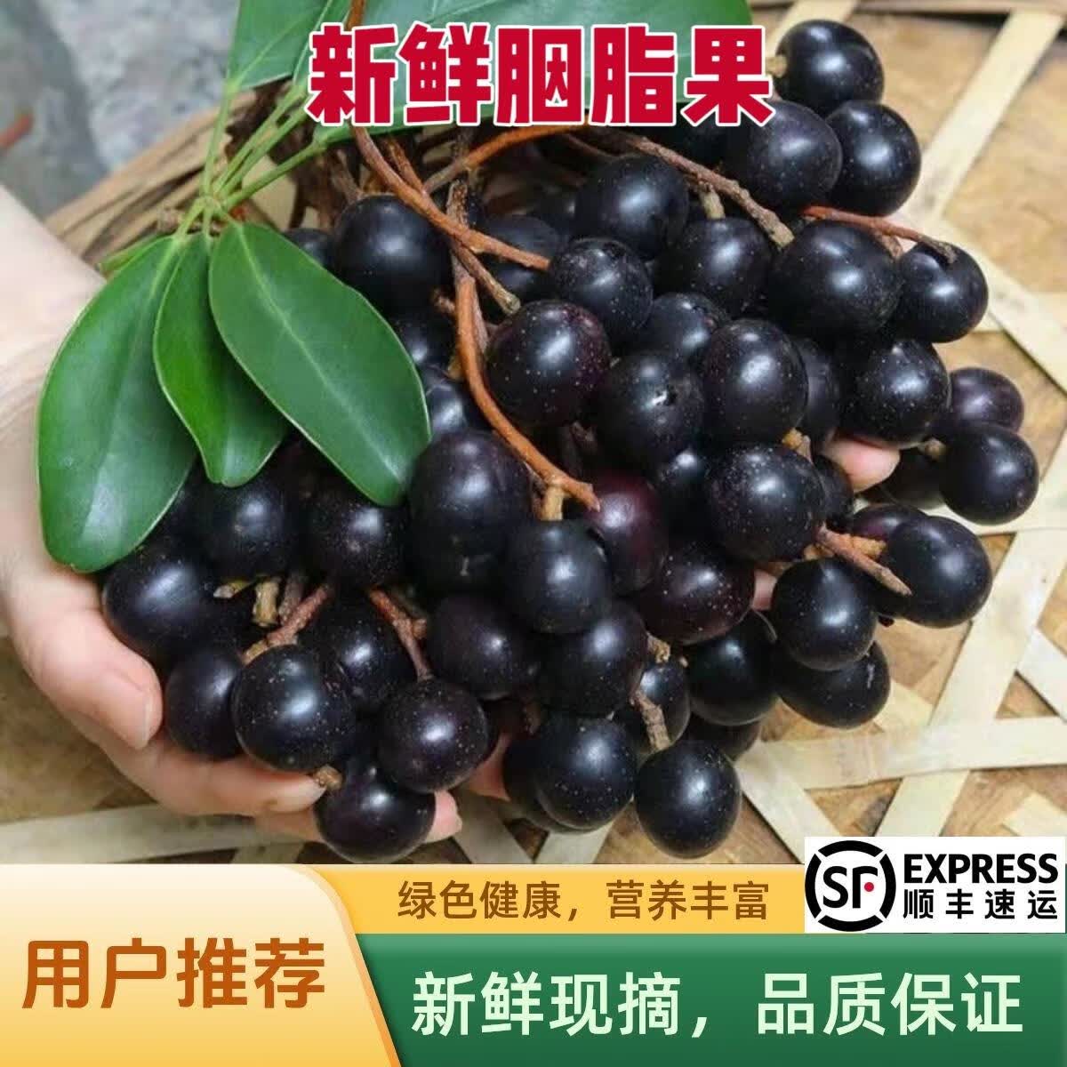 顺丰云南特产新鲜胭脂果胭脂红应当季水果现摘鬼眼睛浆果酸甜 2斤