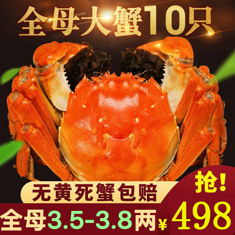 【活蟹】阳澄靖壹大闸蟹 现货鲜活大螃蟹公母蟹 海鲜水产生鲜礼盒 精选全母3.5-3.8两10只礼盒装