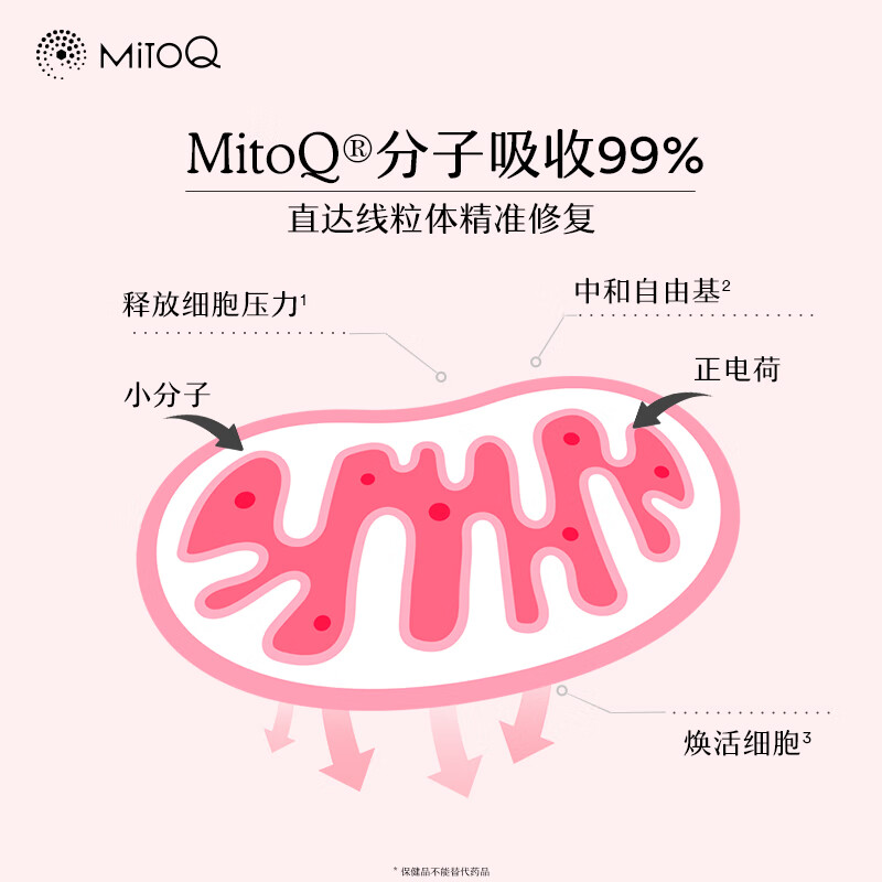 MitoQ经典胶囊 靶向线粒体充能 提升自护力缓解疲劳 守护心肌细胞 【3瓶一周期】 60粒*3瓶
