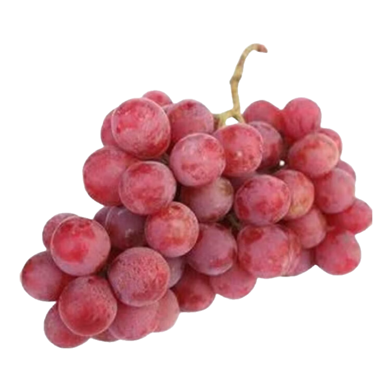 ���������� ��Ƥ�����֭ ����Ӧ��ˮ�� 2��װ��1.8�� 16.16Ԫ