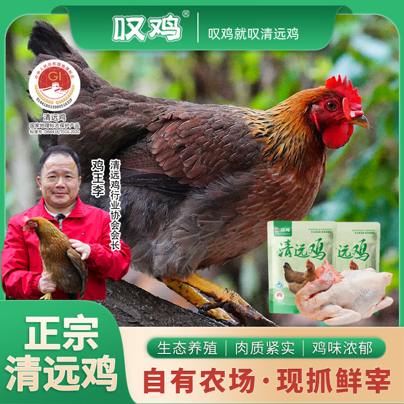 叹鸡160天原种清远鸡1kg 国家地理标志产品 散养麻鸡走地鸡椰子鸡食材 160天原种清远鸡1000g*1只