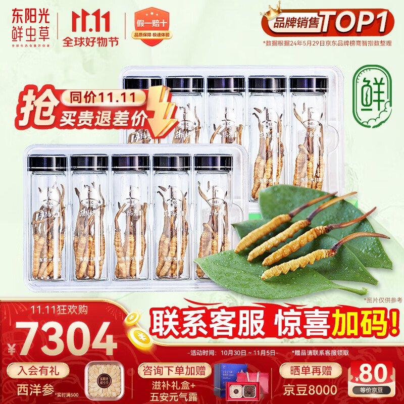 东阳光鲜虫草0.4-0.6g/根100根新鲜冬虫夏草补品送长辈老人源头直发包邮