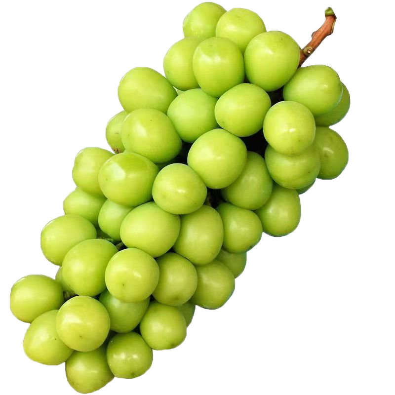 ����õ�� ��������������ӡ��������ˮ������ ����õ��4.5-5�ﵥ��12g+