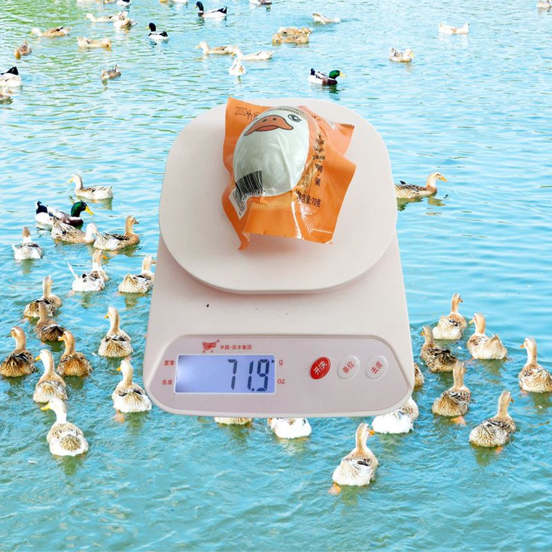 竹燕青【】竹燕青烤海鴨蛋特大流油北海紅樹林散養(yǎng)即食熟咸鴨蛋沙香 北海 烤海鴨蛋70g10枚【香沙流油】