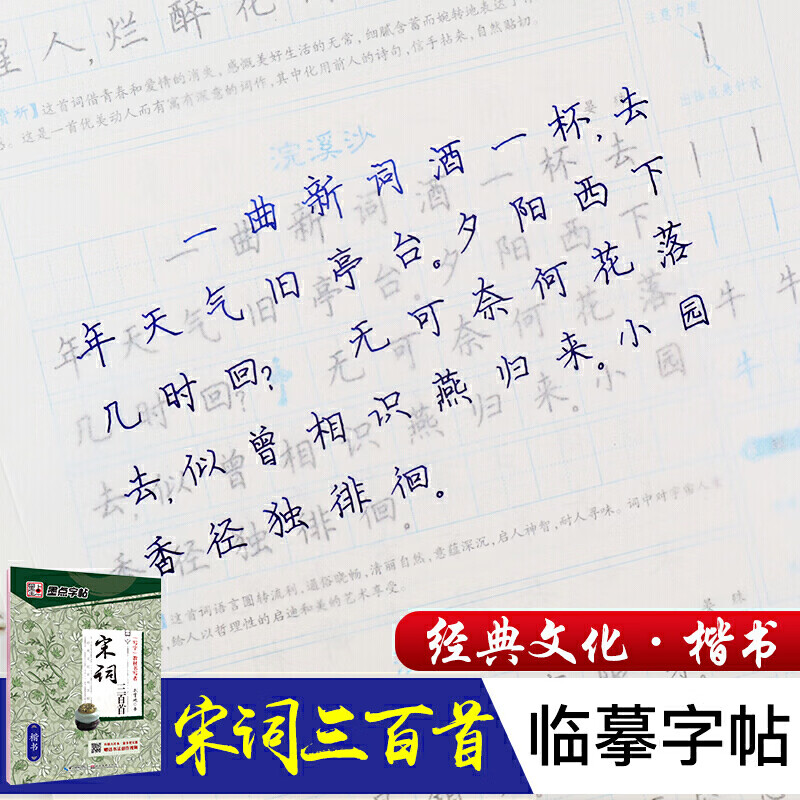 墨点字帖楷书练字经典文化系列字帖宋词三百首荆霄鹏硬笔书法临摹练字