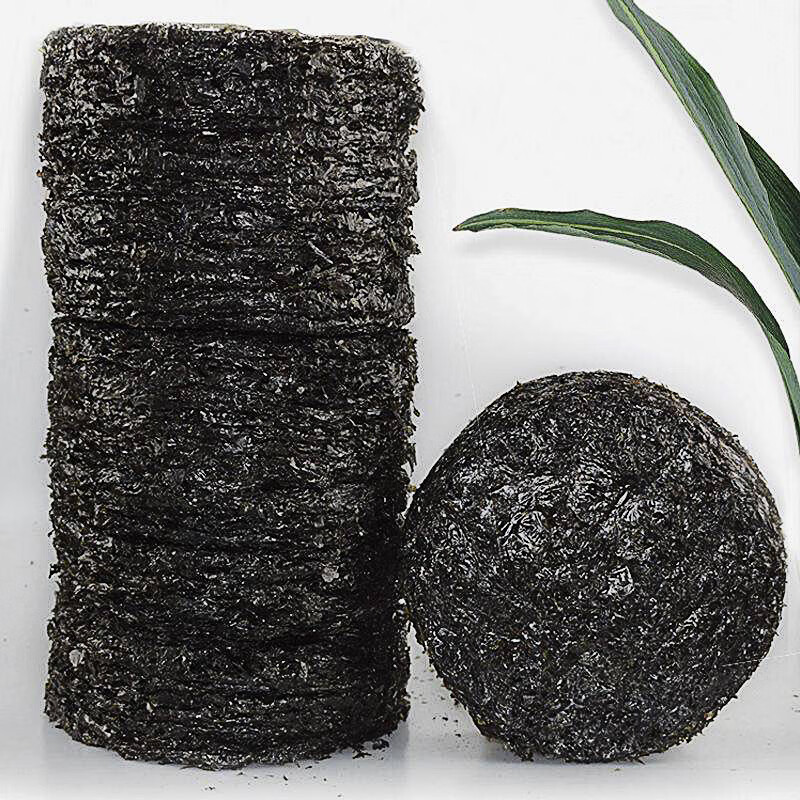 真头水紫菜 福建霞浦特产 特优免洗 独立包装 新鲜美味 头茬干货 100g 真头水紫菜【幼嫩头水】