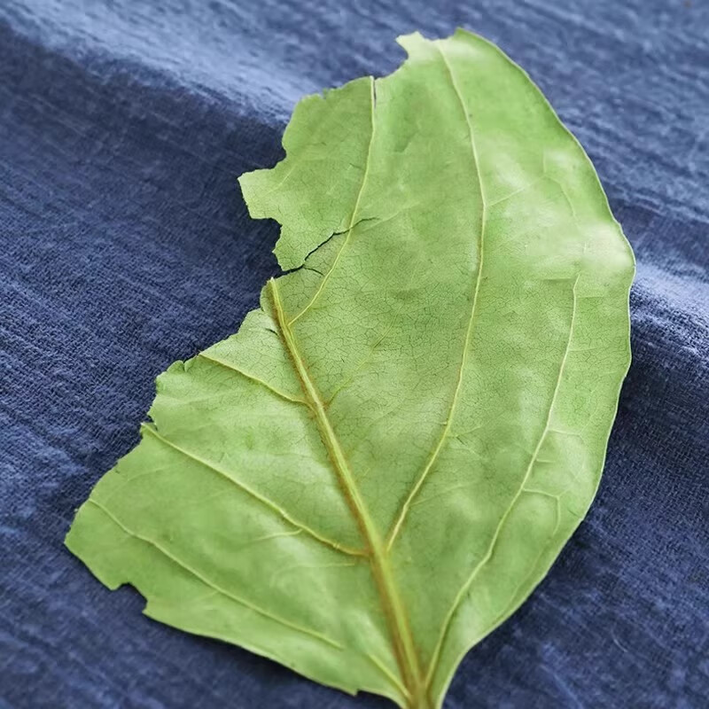苓仙谷柿子叶正宗中药材粉茶柿叶粉柿叶霜后柿子树叶柿子叶粉泡水泡茶喝 【代客打粉/联系客服】绿柿子叶500g