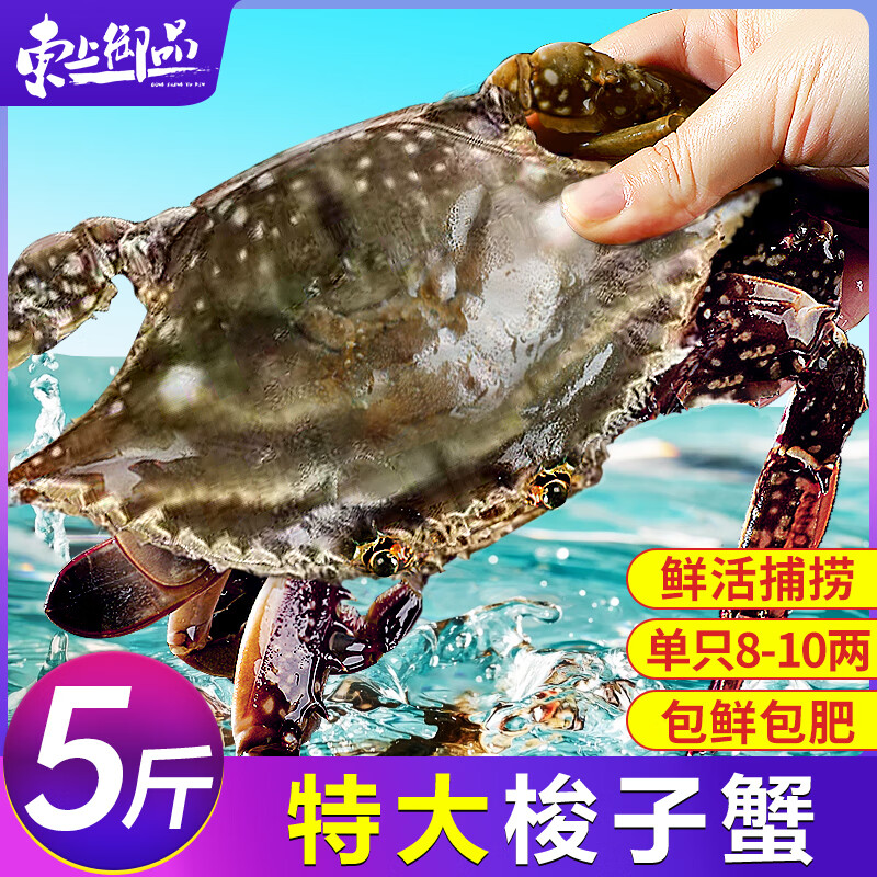 东上御品 舟山梭子蟹 鲜活大号野生大螃蟹新鲜冷冻海鲜水产海蟹 梭子蟹8-10两/只 5斤