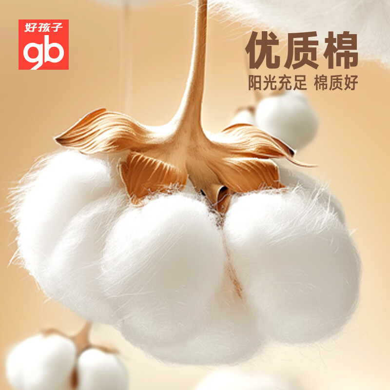 好孩子婴儿礼盒见面礼新生儿套装10件套抗菌防螨宝宝满月礼 66cm