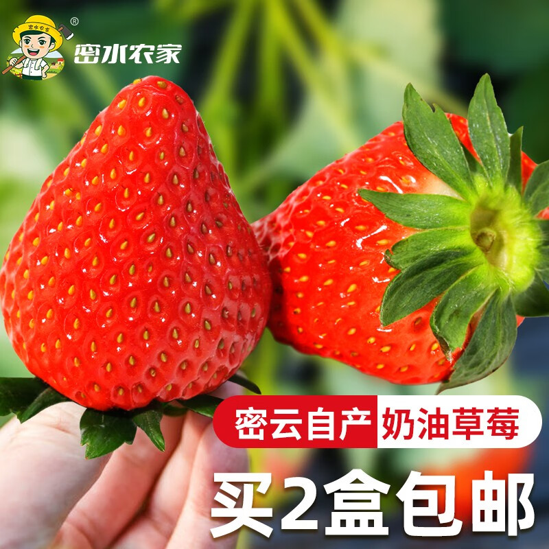 查看草莓历史价格的App|草莓价格历史