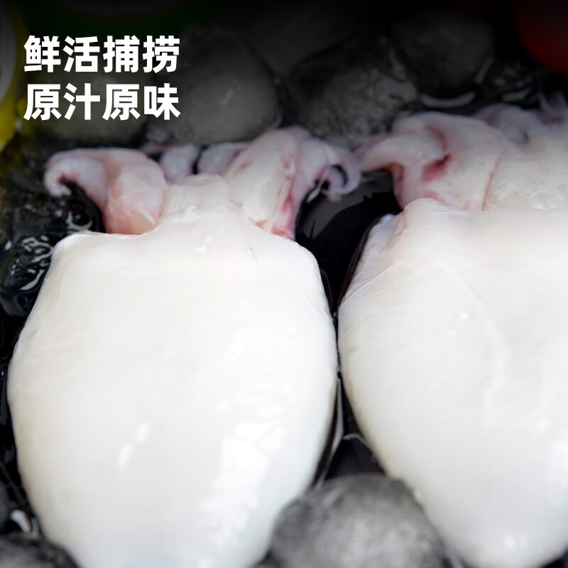 应鱿尽鱿新鲜精品鲜活冷冻墨鱼仔鱿鱼小乌贼三去免处理火锅捞汁生鲜食材 【小号三去墨鱼仔】 350g(净重) 5袋(净重3.5斤)