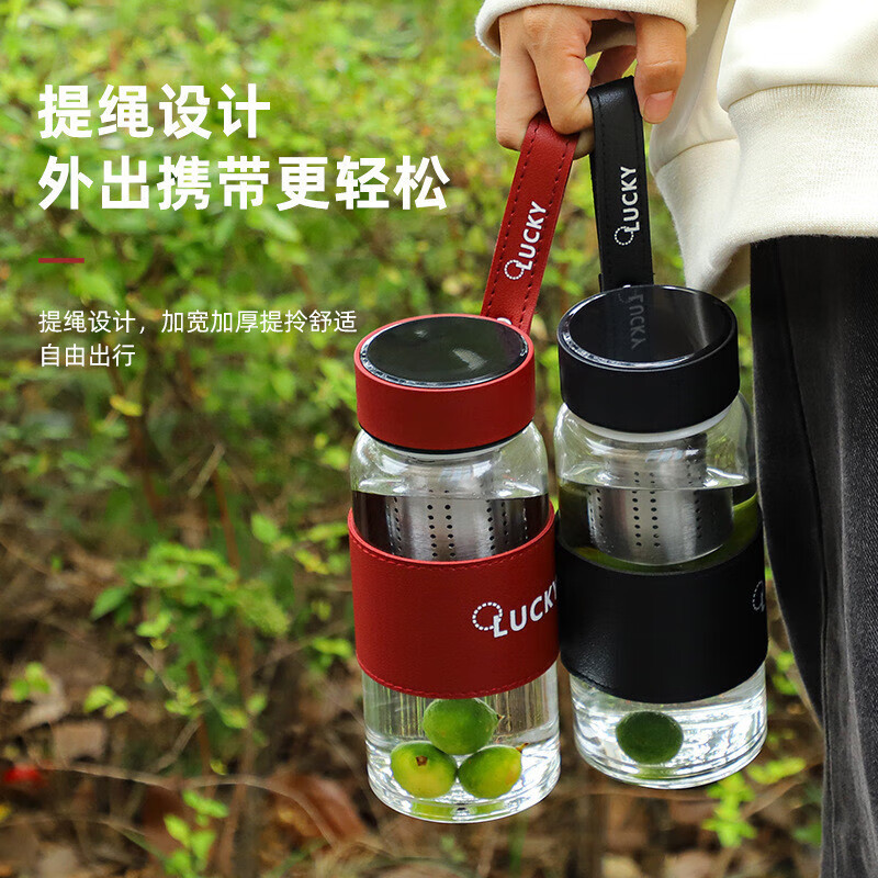 DEATKN德国玻璃杯大容量高硼硅女高颜值防摔防爆带茶隔茶水分离泡茶杯 神秘黑茶水分离长茶隔 600ml
