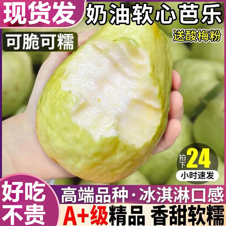 粤迎白心芭乐软糯黄金奶油芭乐新鲜冰激凌番石榴果园福建香甜多汁 5斤精选果【香甜软糯】净4.5斤