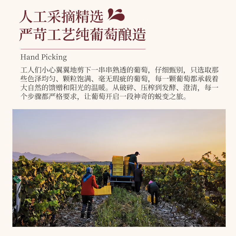 帝月葡萄酒13度沁香宁夏贺兰山黑比诺干红甜葡萄热红酒微醺圣诞礼物 沁香 750ml*1瓶【赠开瓶器】