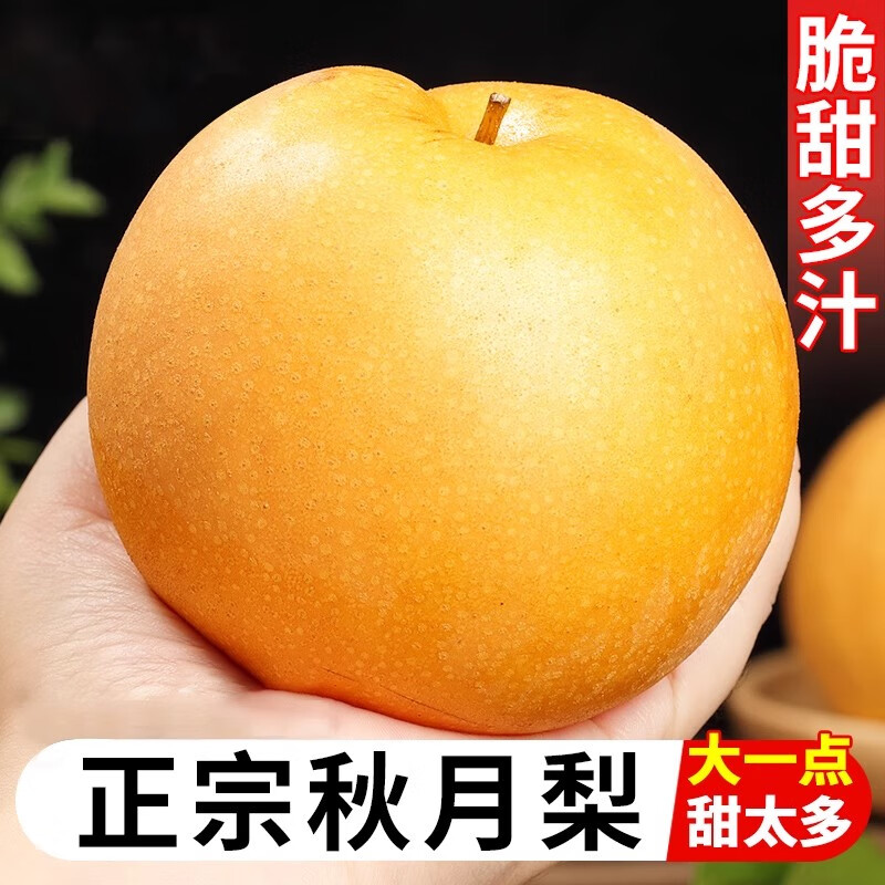 御京鲜山东莱阳秋月梨新鲜水果礼盒冰糖梨子中秋节送礼物 5斤精品果丨单果5两+ 净重4.5斤