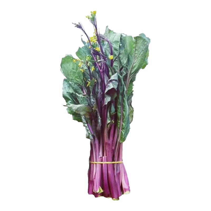 ���ʺ��̦����¶����ֲ����ˬ��ũ���߲�о�����߲�ɳ�����ʳ�� ����1��˷ѹ󣬲����ԣ� 5.9Ԫ