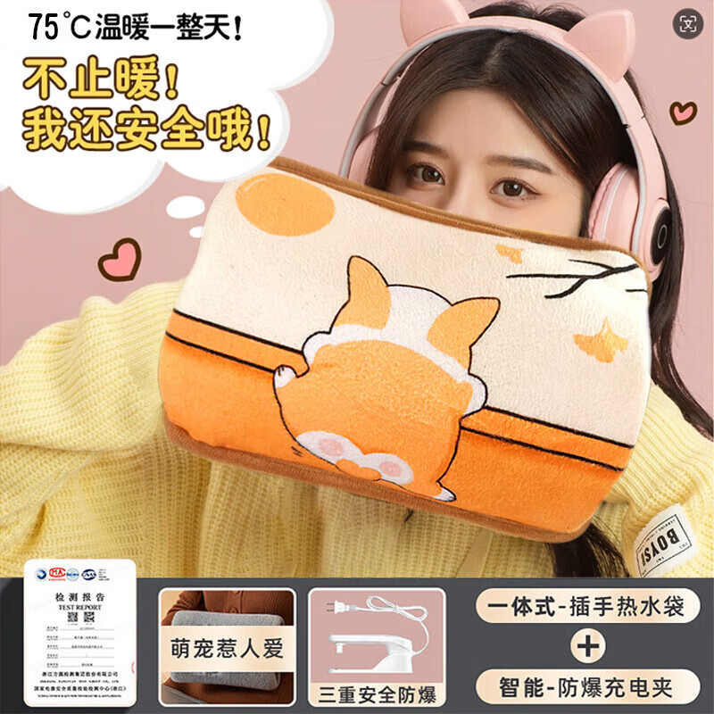 简尚恩国标热水袋充电热水袋暖宝宝防爆电暖手宝暖水袋毛绒可爱JTT 【双插手】熊猫-智能防爆-真国标 已注水