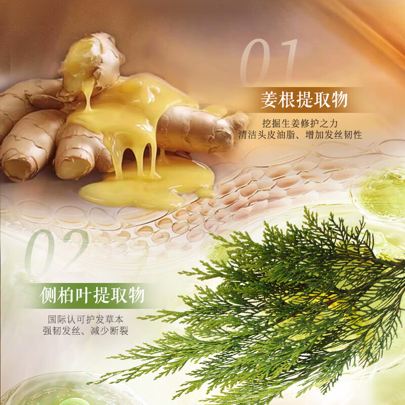 片仔癀侧柏叶生姜洗发水控油蓬松护发男女修护柔顺头发强韧防断发直营 【两瓶】侧柏叶生姜防断发洗发水