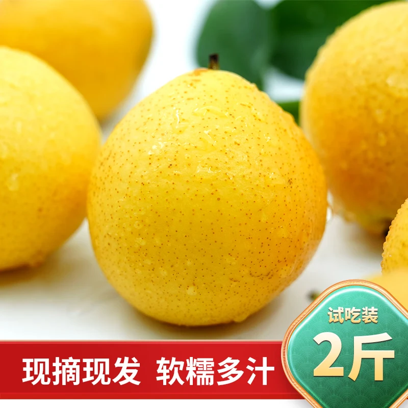 澄州呈礼正宗南果梨 辽宁鞍山红南国梨东北特产香水梨子新鲜水果 京东快递 黄南果梨 试吃装2斤