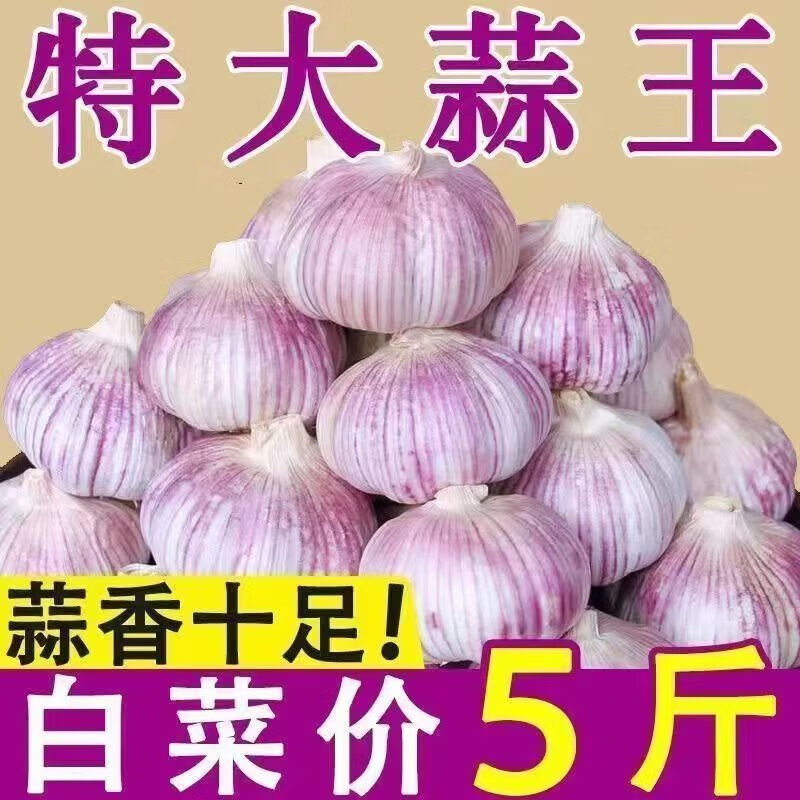 山东金乡鱼台紫白皮蒜大蒜大祘蔬菜批发干蒜自种大蒜多瓣蒜当季 中果带箱2斤【精品】 精品新大蒜