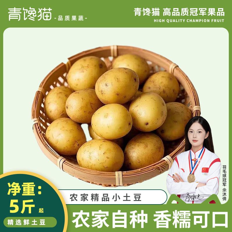 青馋猫正宗恩施小土豆马铃薯新鲜高山农家现挖土豆黄皮黄心迷你小洋芋 净重5斤 【100-200g】